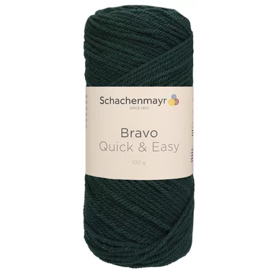 Acrylic yarn Bravo Quick & Easy - Seagrass 08390