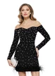 Rochie de ocazie eleganta neagra cu aplicatii de perle si pene