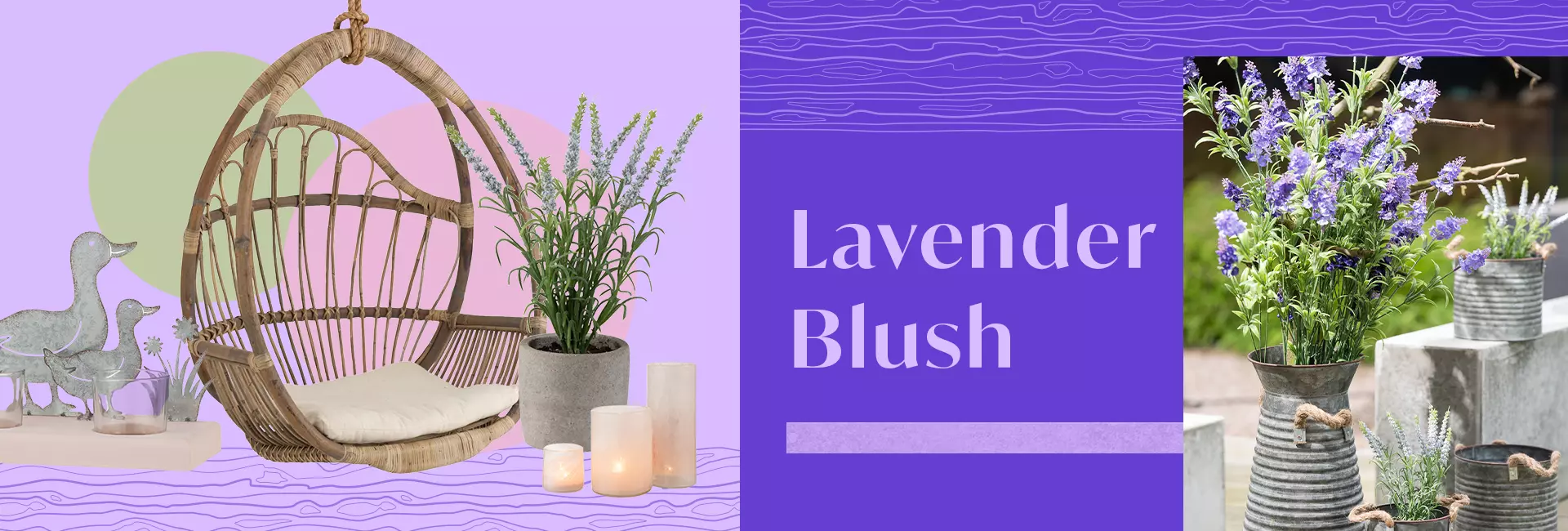 lavender blush