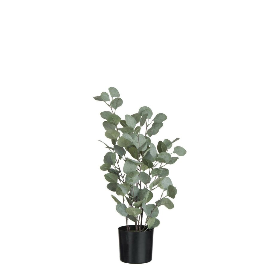 Poza Eucalyptus Planta artificiala in ghiveci, Plastic, Verde