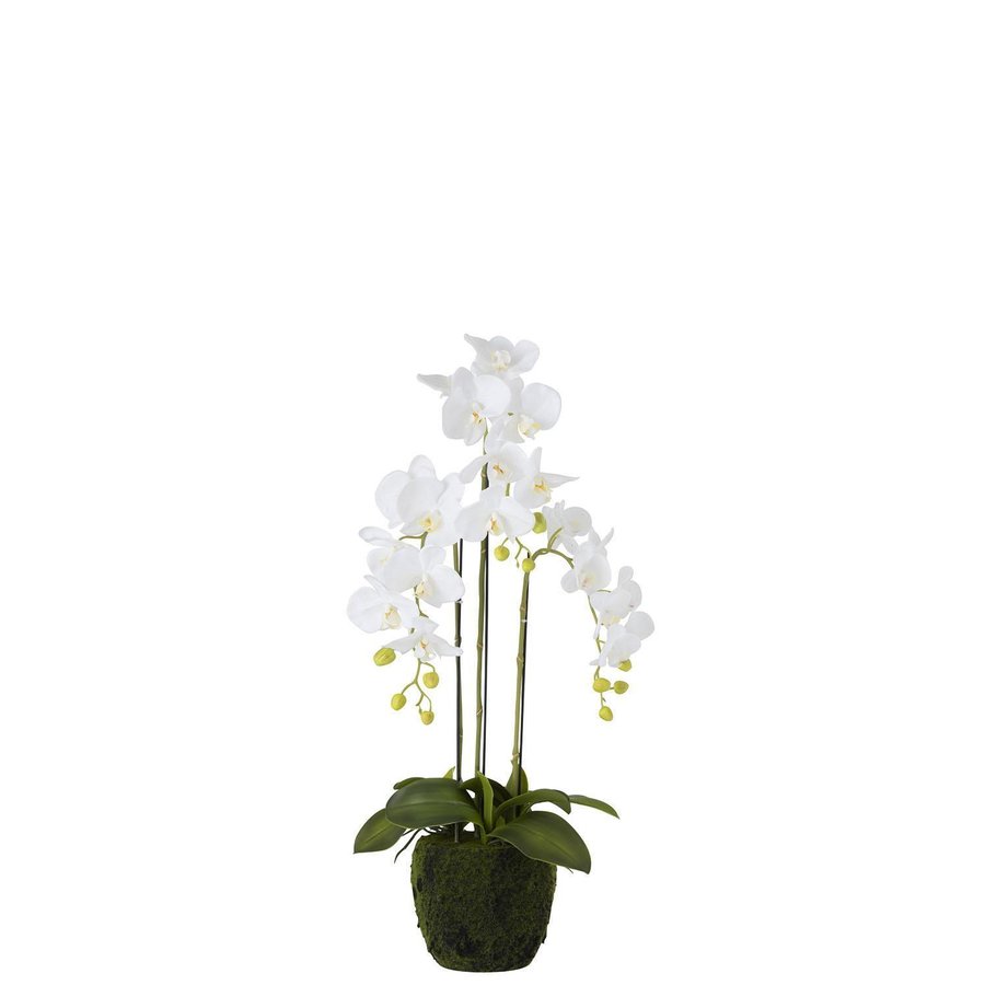 Orhidee Floare artificiala ghiveci mic, Plastic, Alb