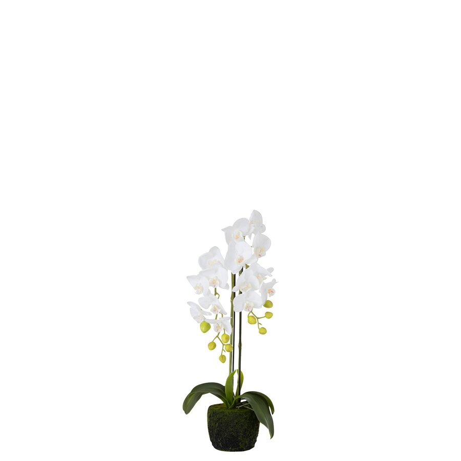 Orhidee Floare artificiala ghiveci, Plastic, Alb