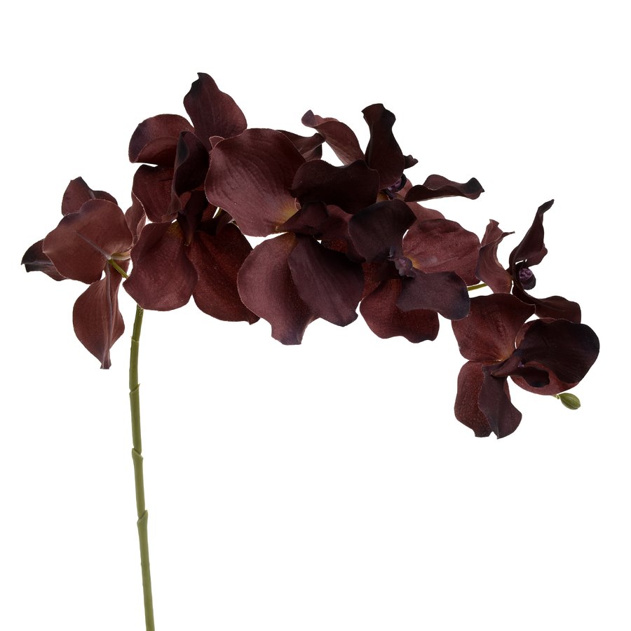 Orhidee Floare artificiala, Plastic, Rosu