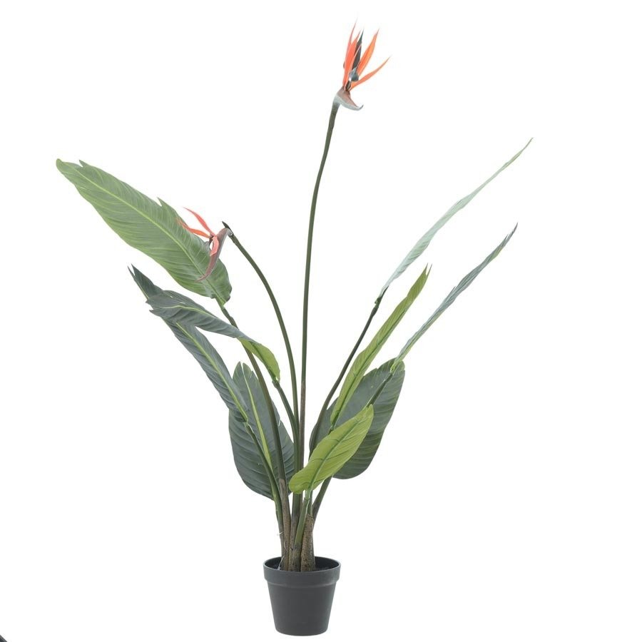 Poza Strelitia Floare artificiala ghiveci, Plastic, Verde