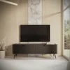Comoda TV Lante RTV163 2D, 163.2x38x51.2 cm, MDF, Negru picture - 1