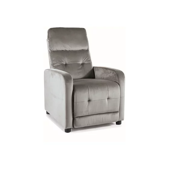 Fotoliu cu Recliner Otus, 66x92-144x100 cm, Catifea Gri picture - 1