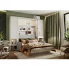 Lenart BED CONCEPT - Ansamblu Pat rabatabil de perete vertical cu mecanism pneumatic 180x200 +2 dulapuri si Canapea picture - 2