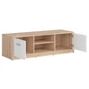 Nepo Comoda TV cu 2 Usi - RTV2D picture - 5