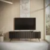 Comoda TV Lante RTV163 2D, 163.2x38x51.2 cm, MDF, Negru picture - 1