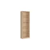 Nepo Regal REG/60 picture - 2