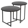 Set Masute de Cafea Johpur, Ø48x40 cm + Ø40x50 cm, Metal/MDF,  Negru/Negru picture - 1