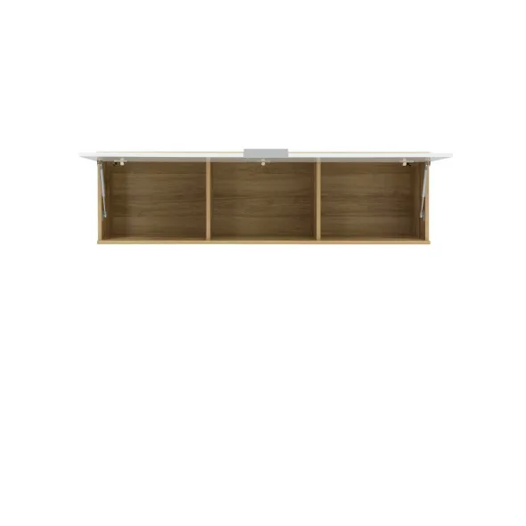 Corp Suspendat Zele SFW1K picture - 2