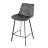 Scaun de Bar Alve, 49x60x93 cm, Metal/Catifea, Gri picture - 1