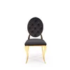 Scaun Hadsund 556, 48x52x96 cm, Auriu/Negru picture - 4