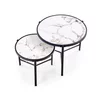 Set Masute de Cafea Hagen 265, Ø63x50 cm, Metal/MDF cu Efect de Piatra Sinterizata, Negru/ Alb Marmura picture - 2