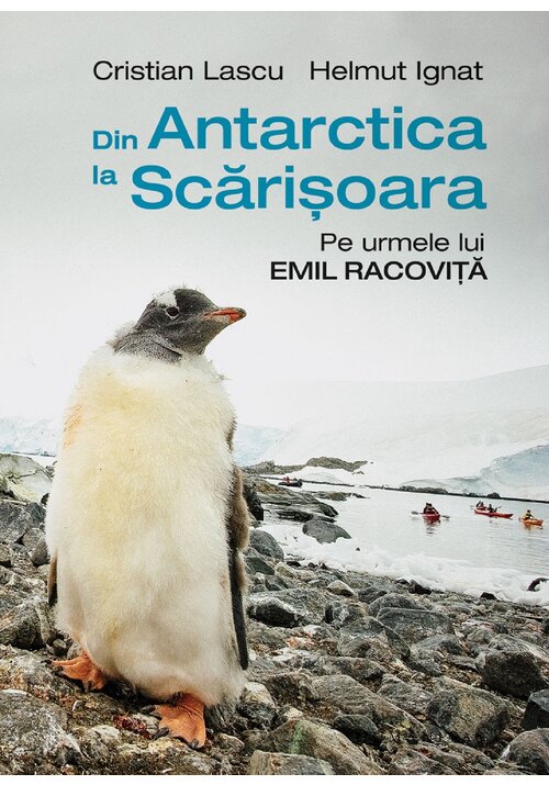 Vezi detalii pentru Album Din Antarctica la Scarisoara,pe urmele lui