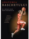 Anatomia baschetului