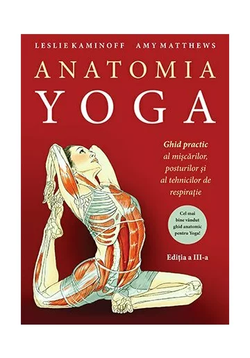 Anatomia YOGA