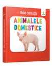Animalele domestice