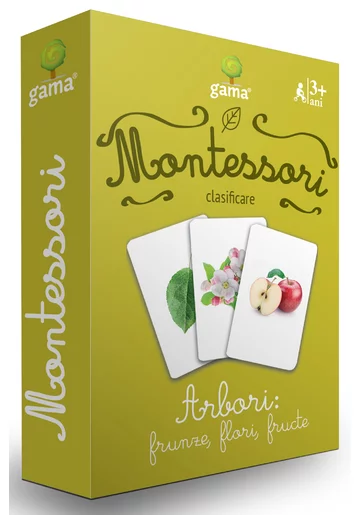 Arbori: frunze  flori  fructe