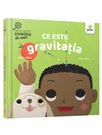 Ce este gravitatia