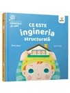Ce este ingineria structurala