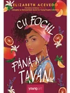 Cu focul pana-n tavan