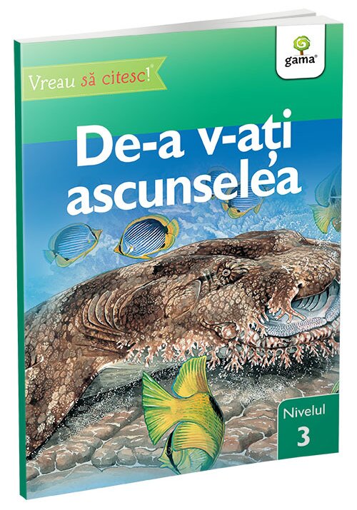 De-a v-ati ascunselea • nivelul 3