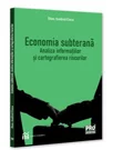 Economia subterana: analiza informatiilor si cartografierea riscurilor