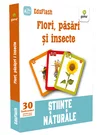 Flori  pasari si insecte