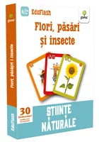 Flori  pasari si insecte