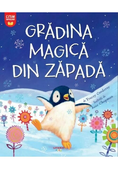 Gradina magica din zapada