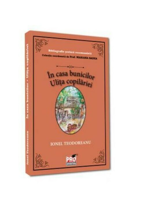 In casa bunicilor. Ulita copilariei
