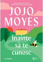 Inainte sa te cunosc