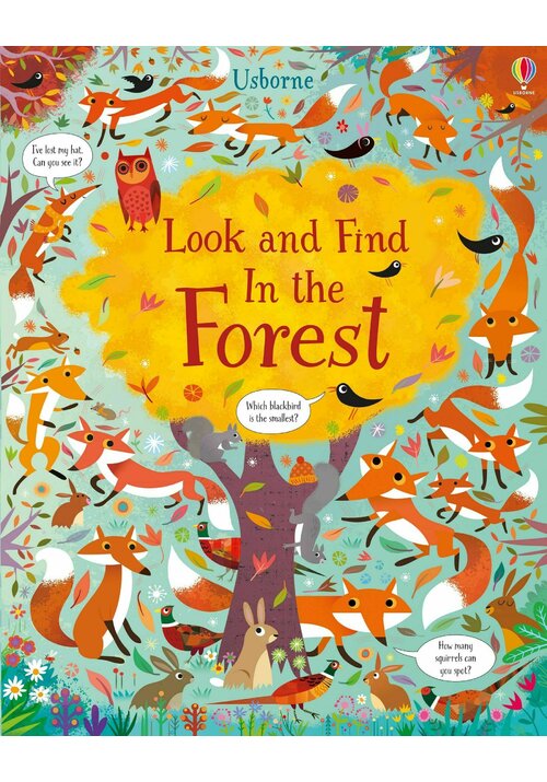 Look and find in the forest