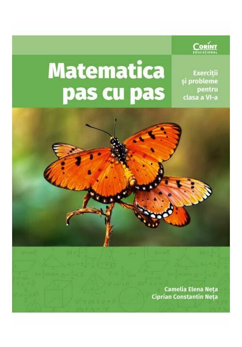 Matematica pas cu pas. Exercitii si probleme pentru clasa a VI-a