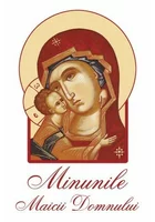 Minunile Maicii Domnului
