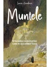 MUNTELE - Intalnirea cu un pustnic mi-a schimbat viata