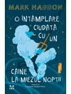O intamplare ciudata cu un caine la miezul noptii