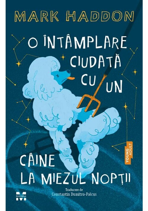 O intamplare ciudata cu un caine la miezul noptii