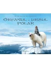Orfanul si ursul polar