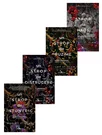 Pachet Seria Hades X Persefona. Set 4 carti