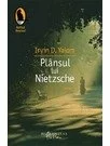 Plansul lui Nietzsche