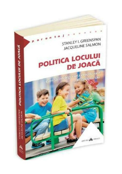 Politica locului de joaca