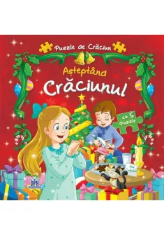 Asteptand Craciunul