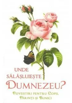 Unde salasluieste Dumnezeu - Povestiri pentru copii parinti si bunici
