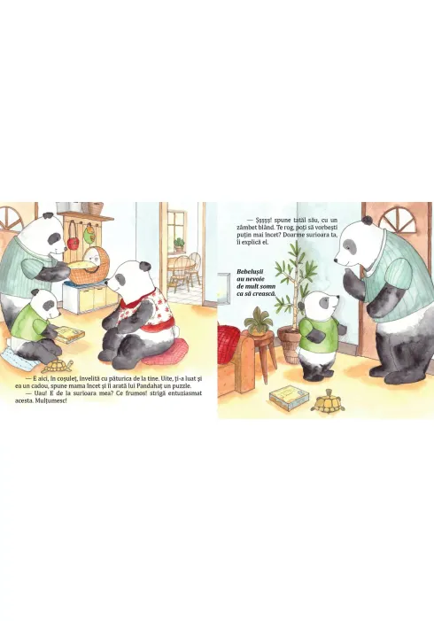 Pandahat are o surioara picture - 2
