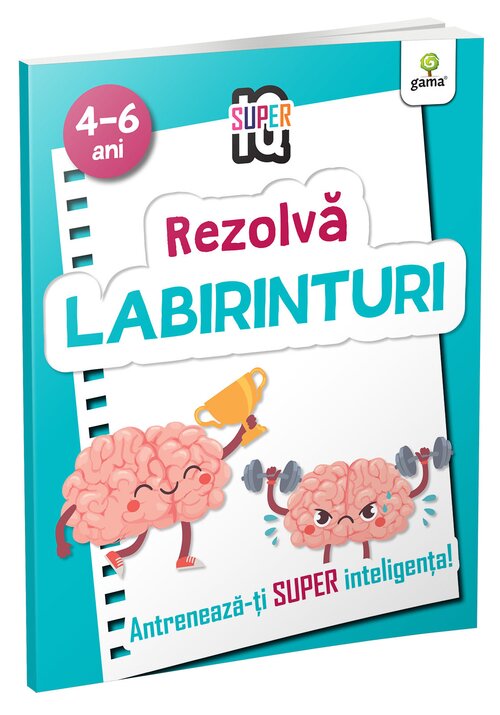 Rezolva labirinturi