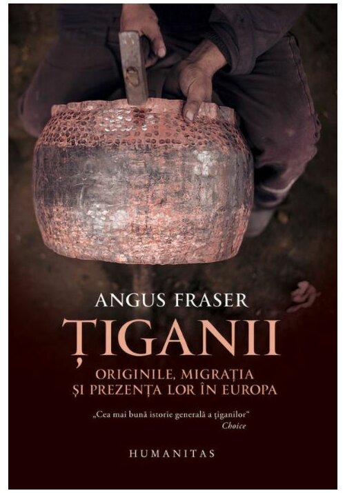Vezi detalii pentru Tiganii: Originile, migratia si prezenta lor in Europa
