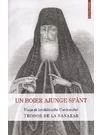 Un boier ajunge sfant. Viata si invataturile Sfantului Teodor de la Sanaxar